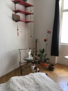 Studio Vitamín