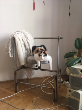 Studio Vitamín